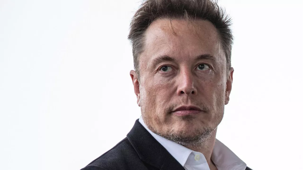 Flieger über Europa registriert: Tesla-Chef Elon Musk wird in Grünheide erwartet