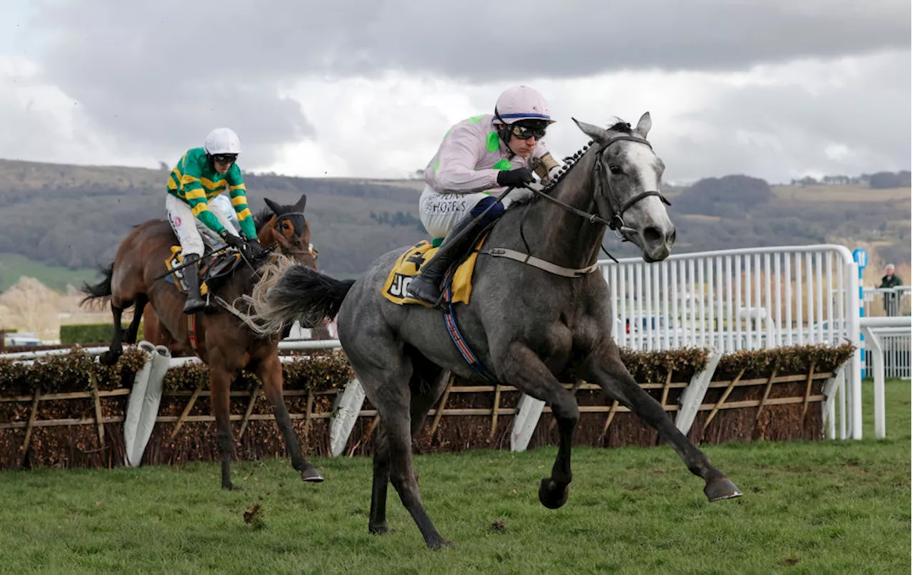 Cheltenham forced to cancel race due to heavy rain and it won’t be rescheduled...