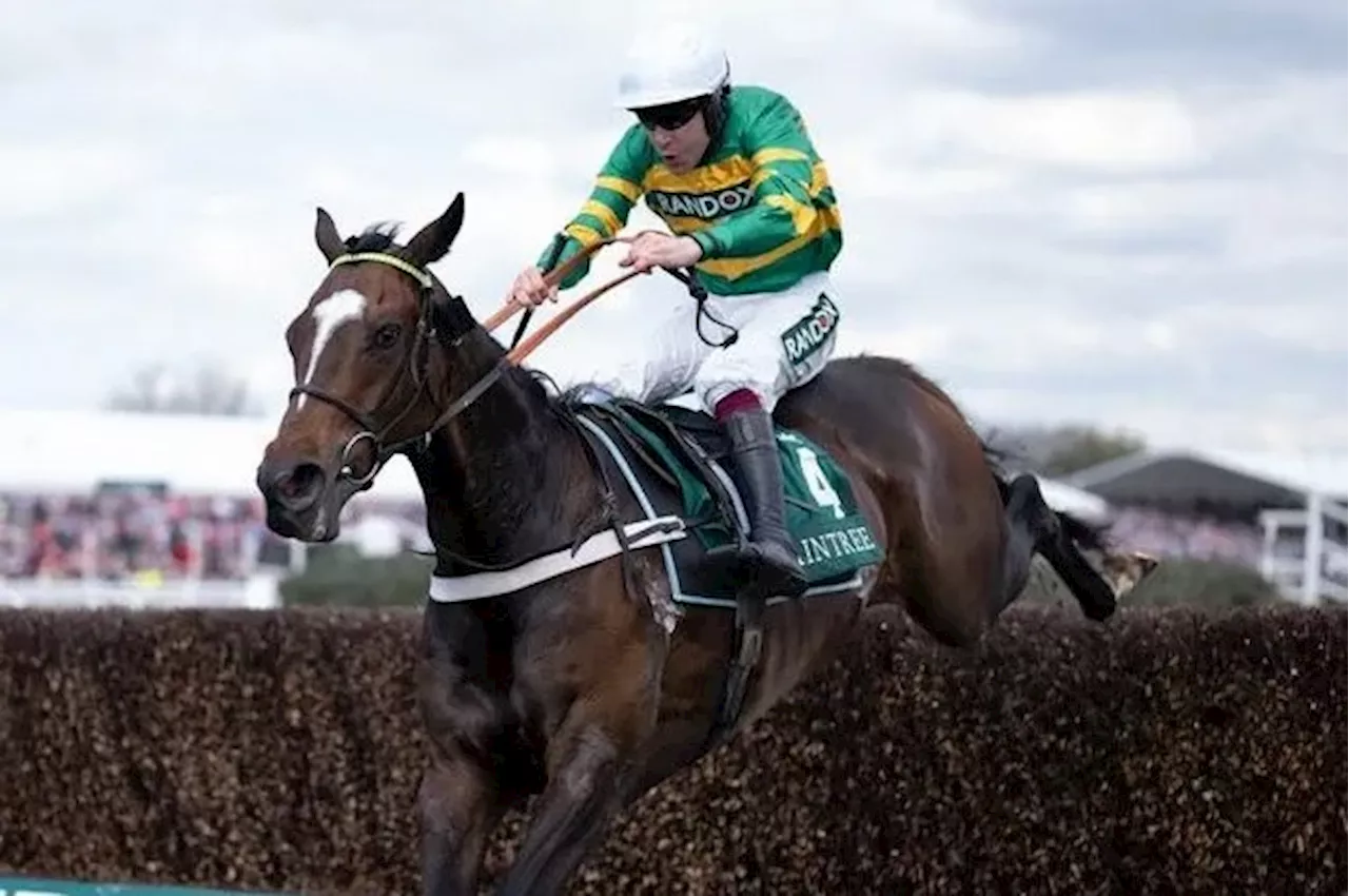 Jonbon is a non-runner in Champion Chase and Nicky Henderson expects more Cheltenham withdrawals...