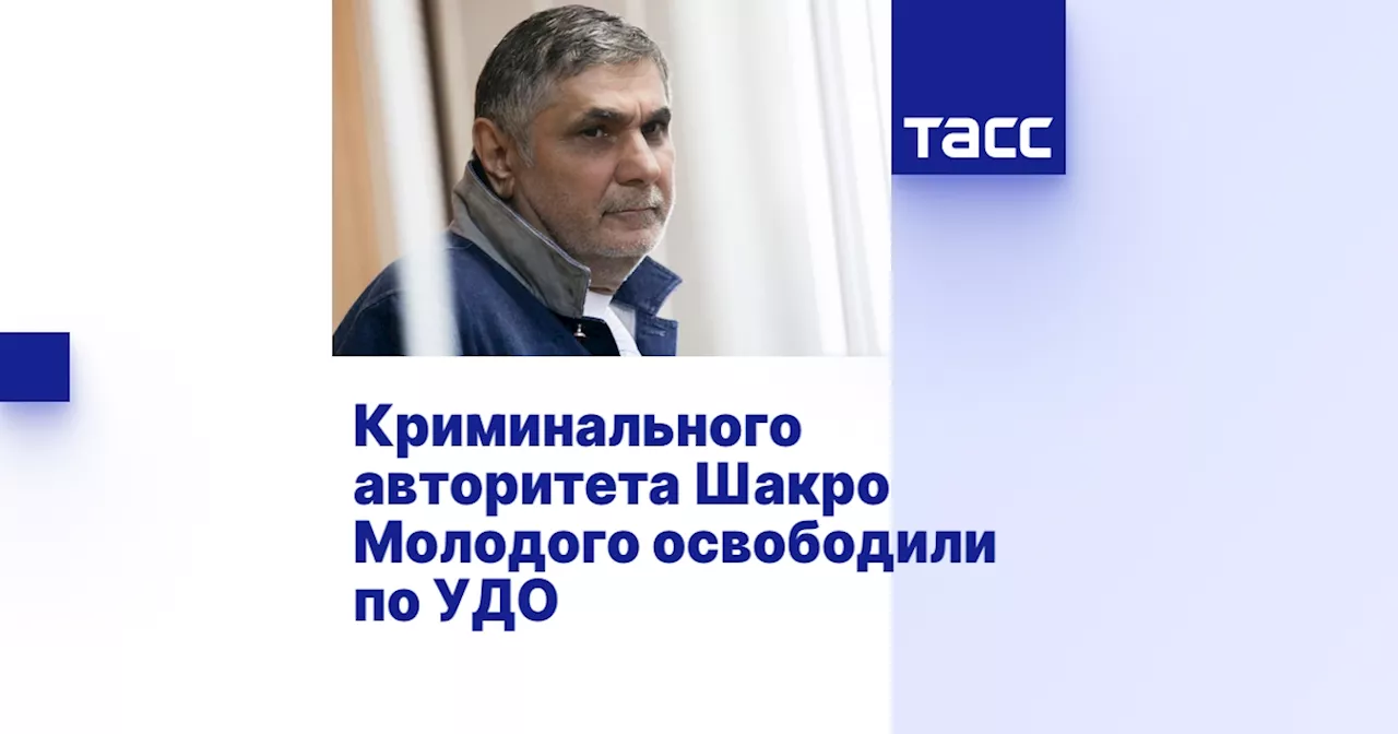 Криминального авторитета Шакро Молодого освободили по УДО