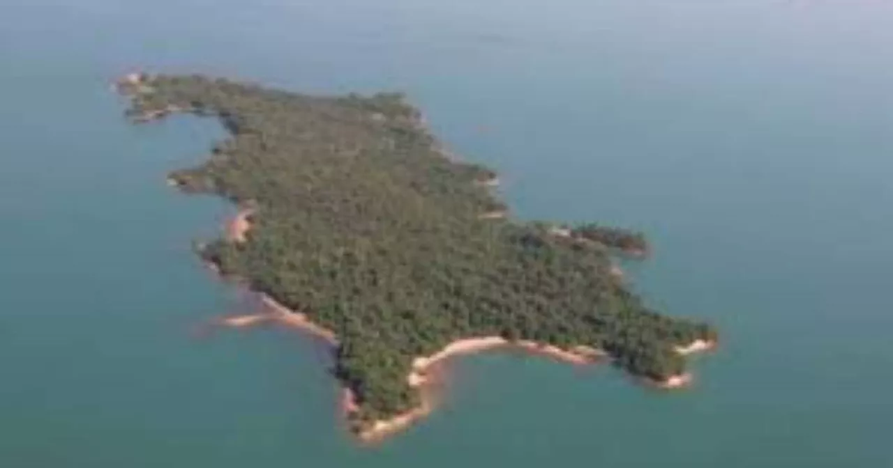 Área de mata virgem: conheça a ilha à venda por R$ 10 milhões no Centro-Oeste