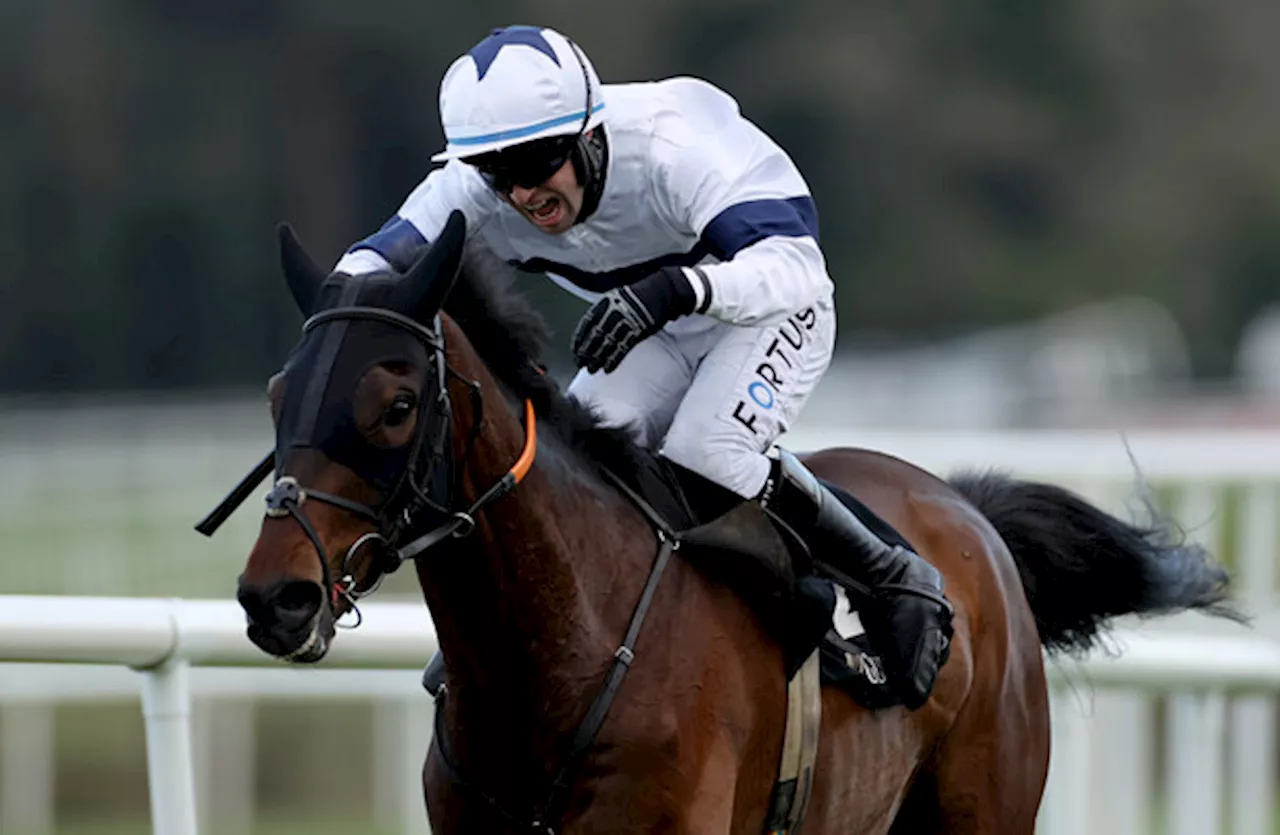 3 tips for Wednesday's card at Cheltenham - including a 14/1 Irish hope