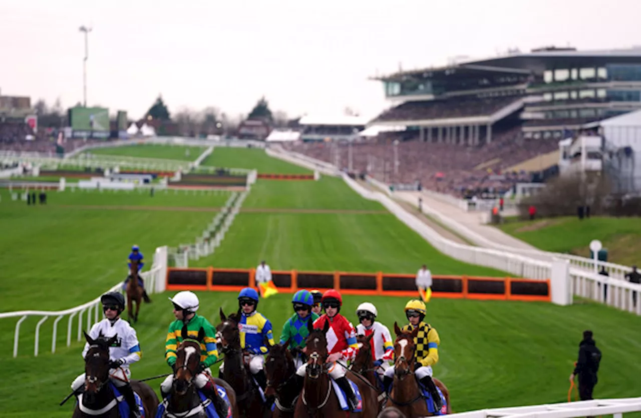 Cross Country Chase abandoned at Cheltenham, Jonbon and Shishkin ruled out