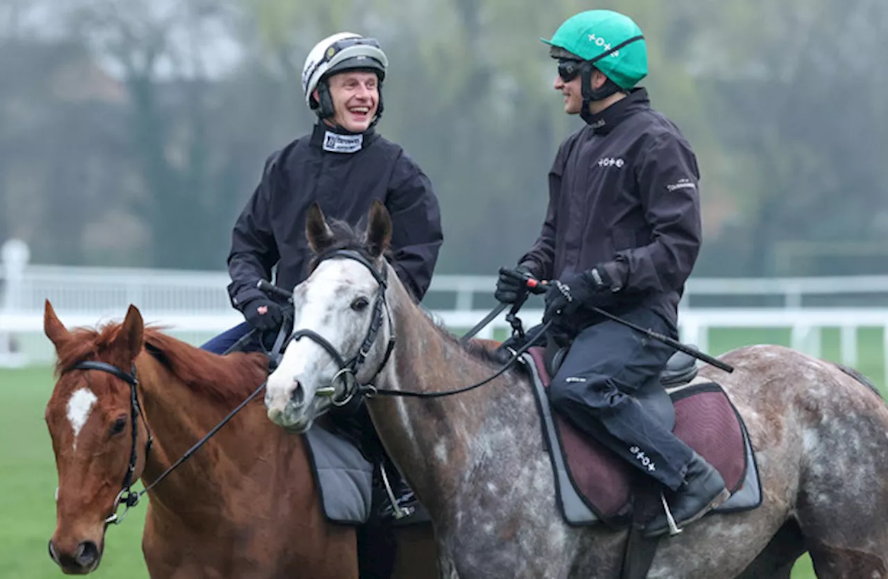 Poll: Who do you think will win today’s Champion Hurdle at Cheltenham?