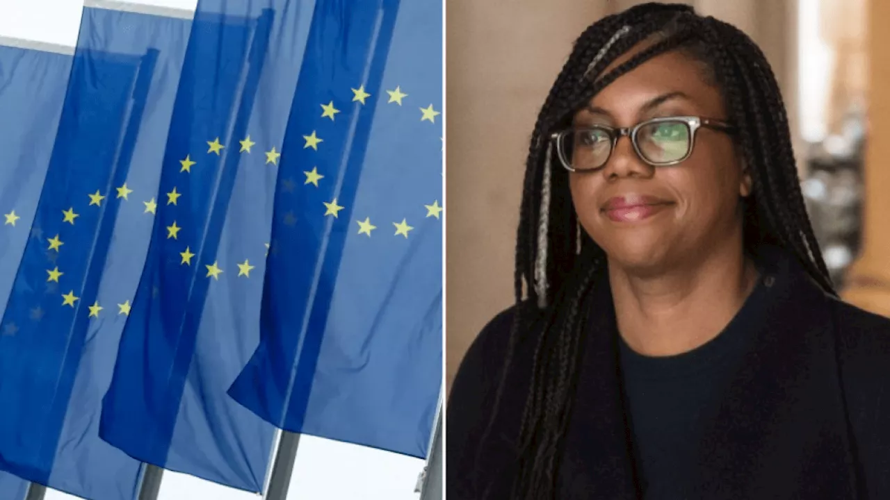 Post-Brexit law reform delayed by focus on election, Kemi Badenoch tells MPs