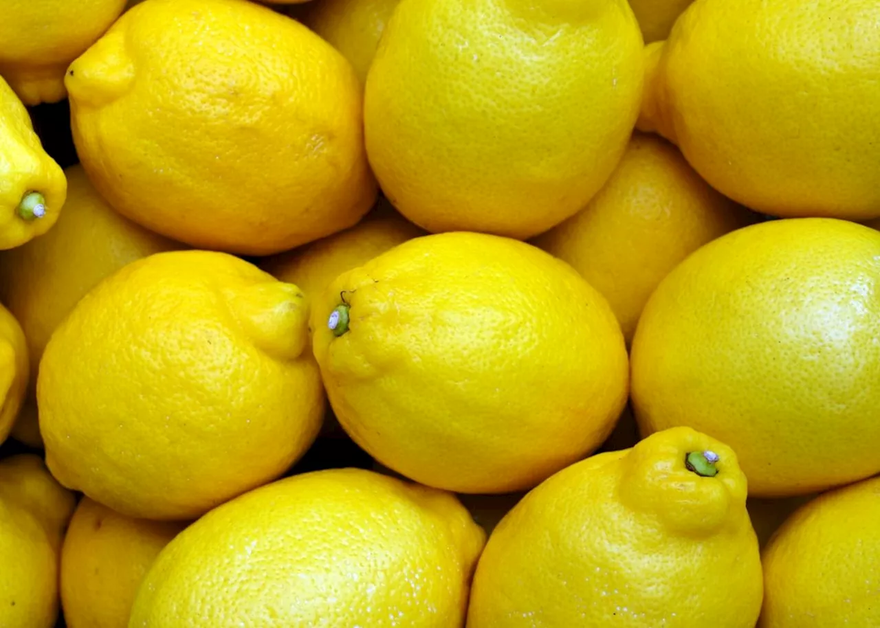 SA’s seedless lemons set to take over shop shelves worldwide