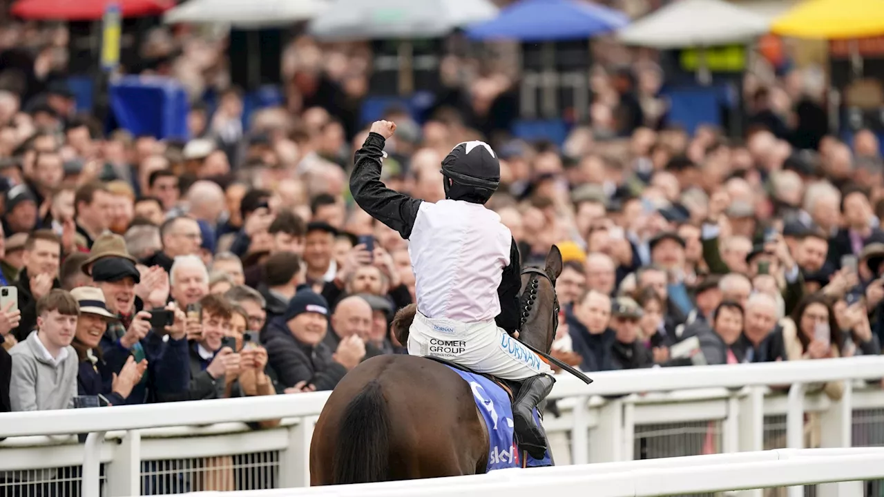 Brits Urged to Stay Away from Cheltenham Races Amid Measles Outbreak Fears