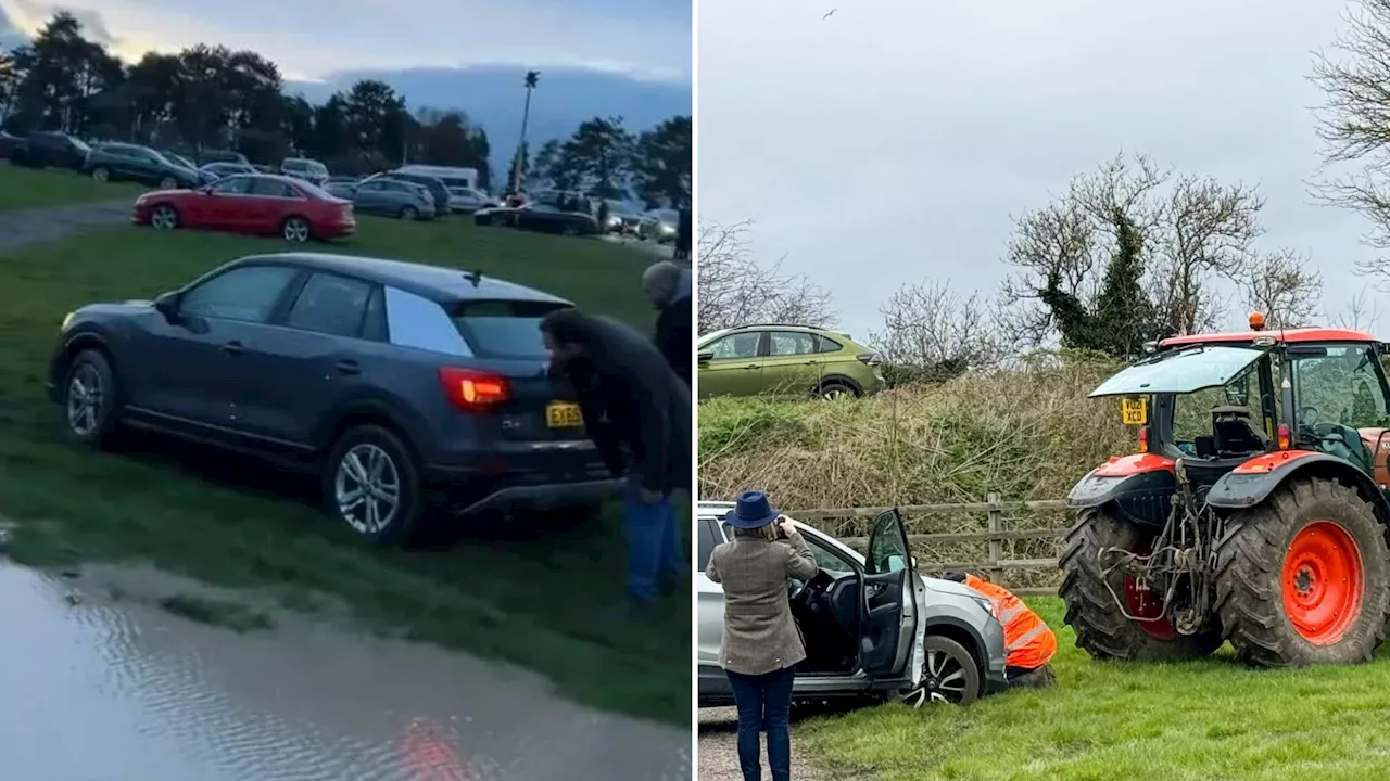 ‘Rip-off’ Cheltenham festival sees drivers pay £30 for swamp field which saw cars stuck