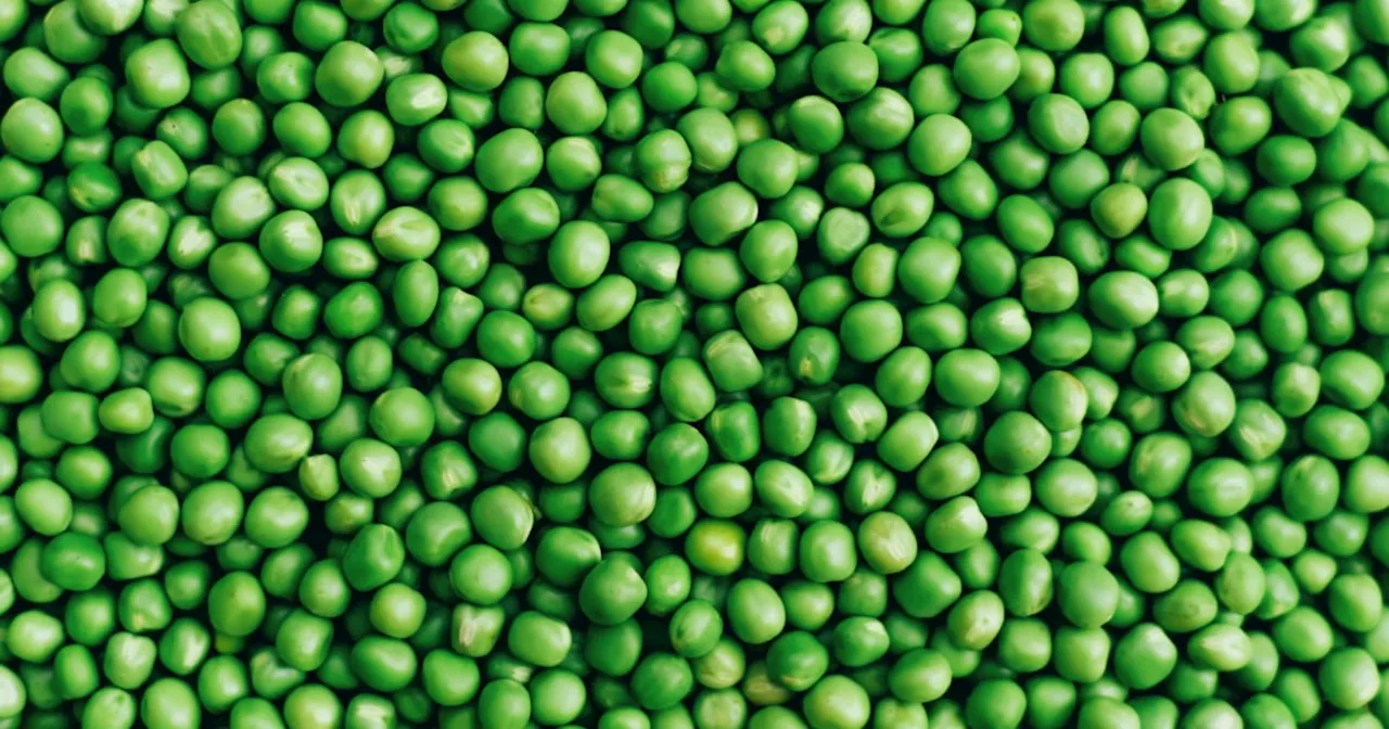 Peas Benefits: Protein, Fiber, Vitamins And Antioxidants