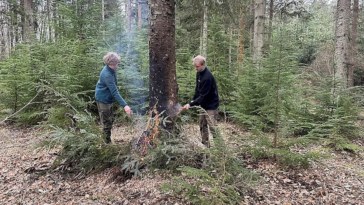 Elever brænder og fælder træer i forbindelse med EU-projekt