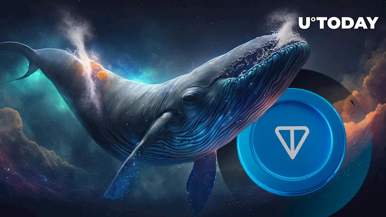 Mysterious Whale Joins Telegram IPO Hype and TON Price Rally