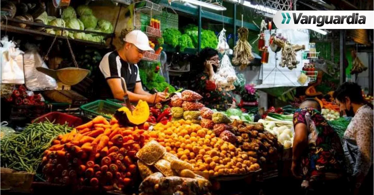 Sector agrícola en Santander tuvo leve mejoría en último cuatrimestre del 2023