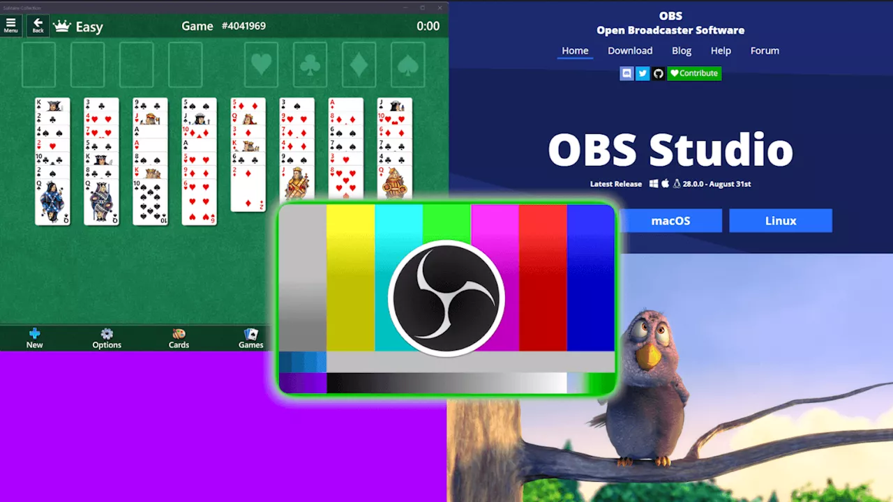 Open-Source-Software fürs Video-Streaming