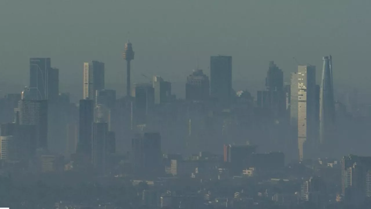 Sydney blanketed in thick smoke as air quality alert sent to residents