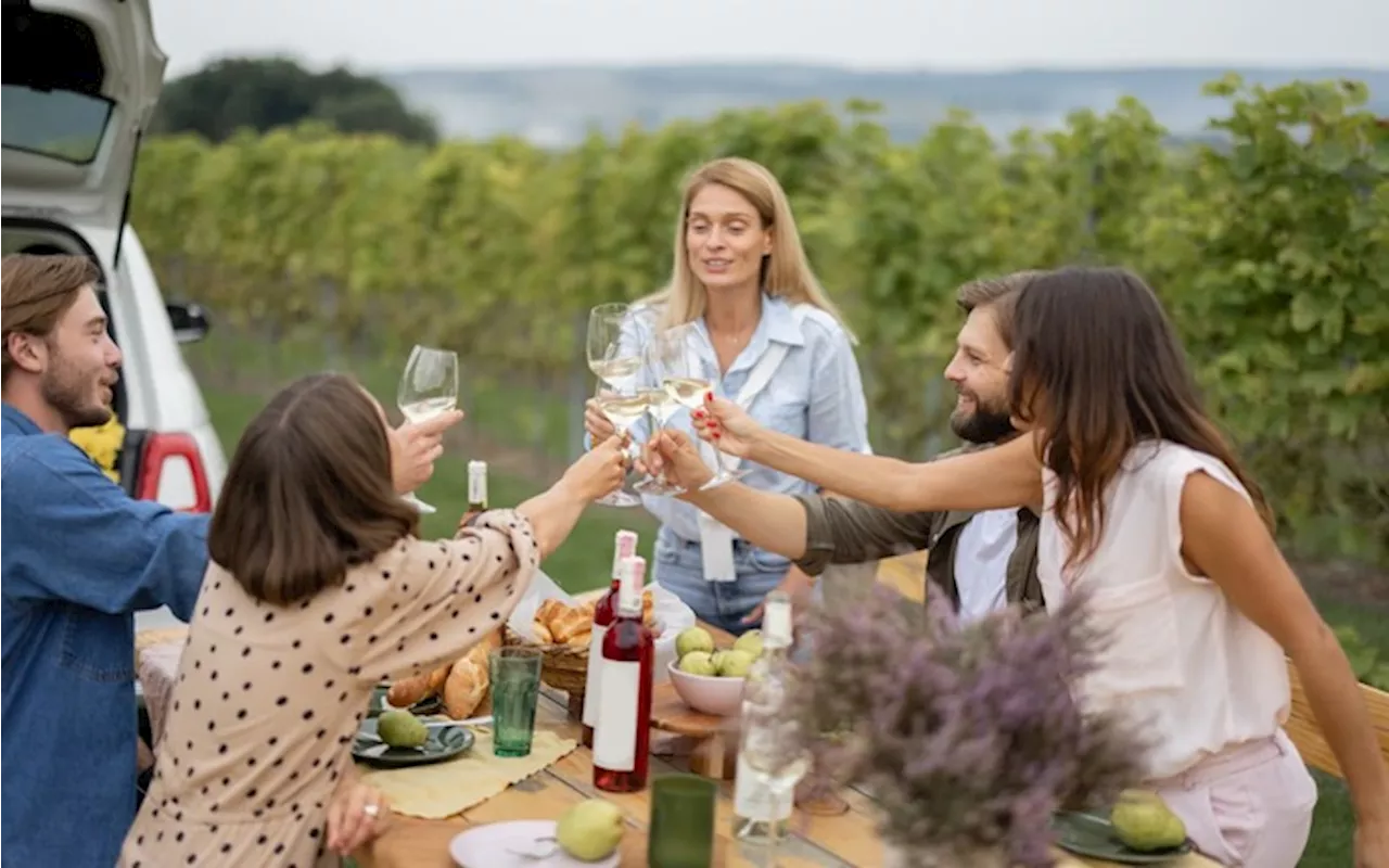 Vitigni Aperti nelle cantine del Movimento turismo del vino