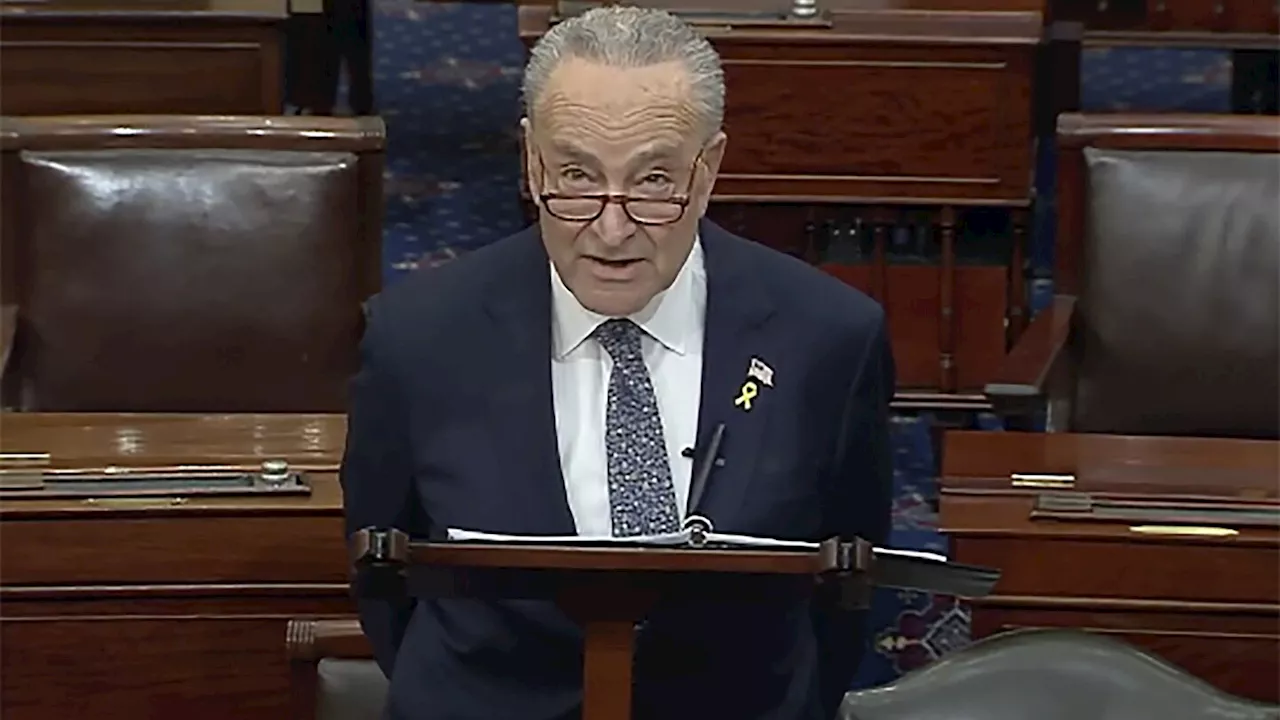 Chuck Schumer, top Senate Democrat, calls for new elections in Israel