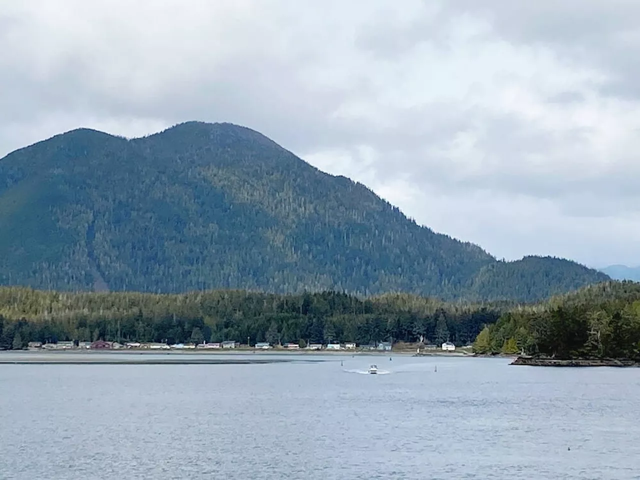 Province seeks input on plan to protect old-growth around Clayoquot Sound