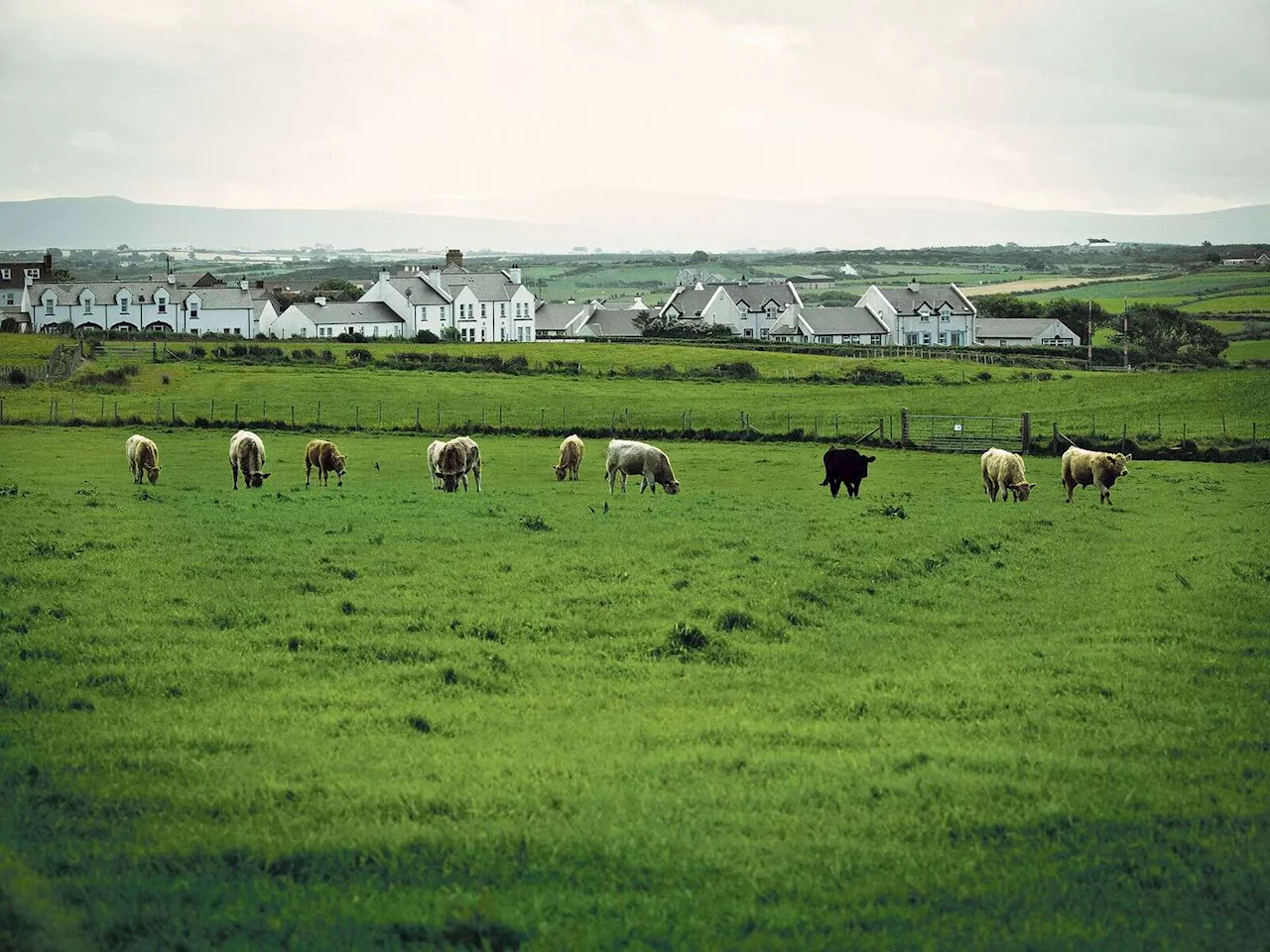 Markets Ken Fisher: Rural Ireland has all the ingredients needed to become the new Silicon Valley