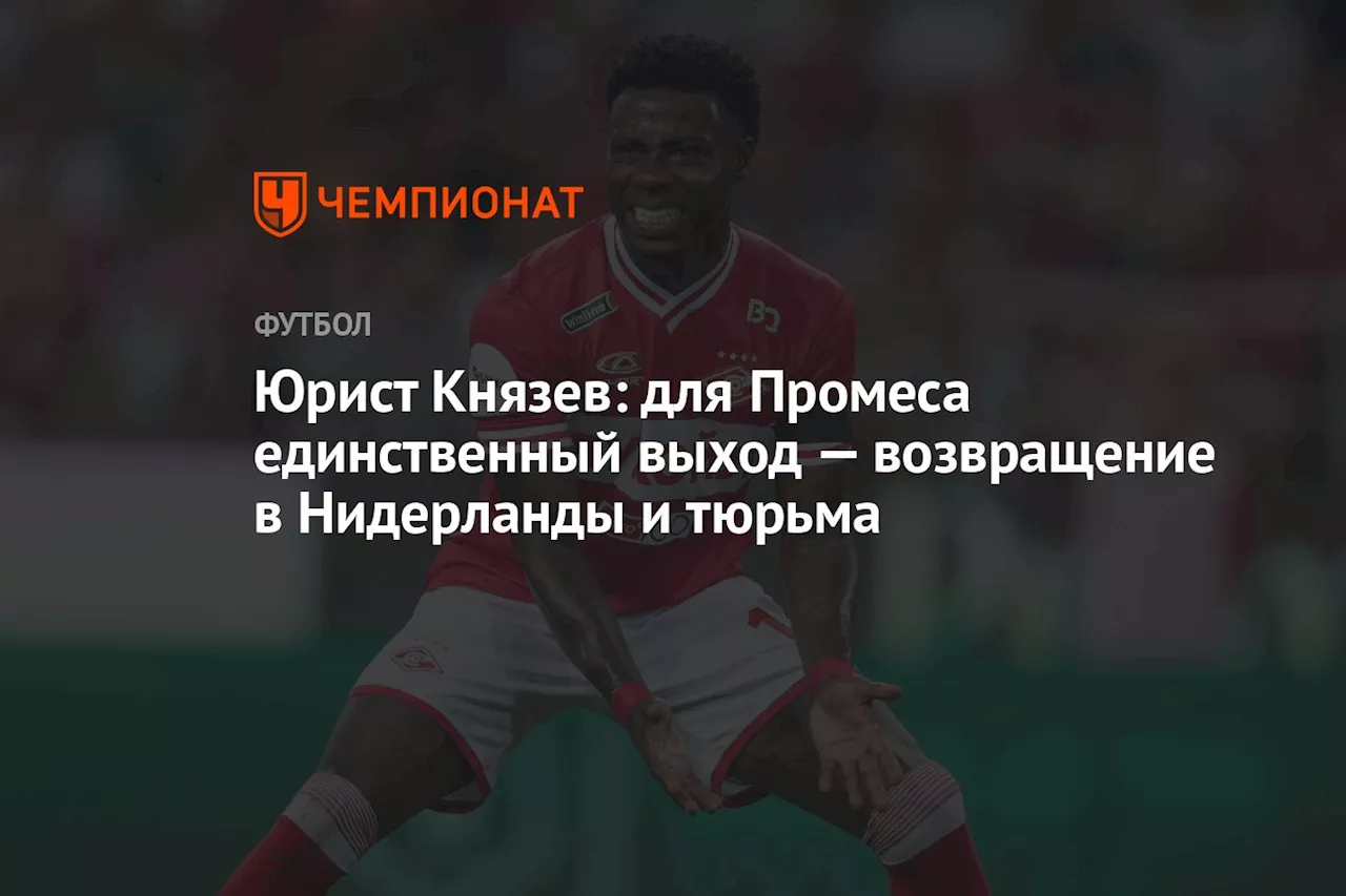 Юрист Князев: для Промеса единственный выход — возвращение в Нидерланды и тюрьма