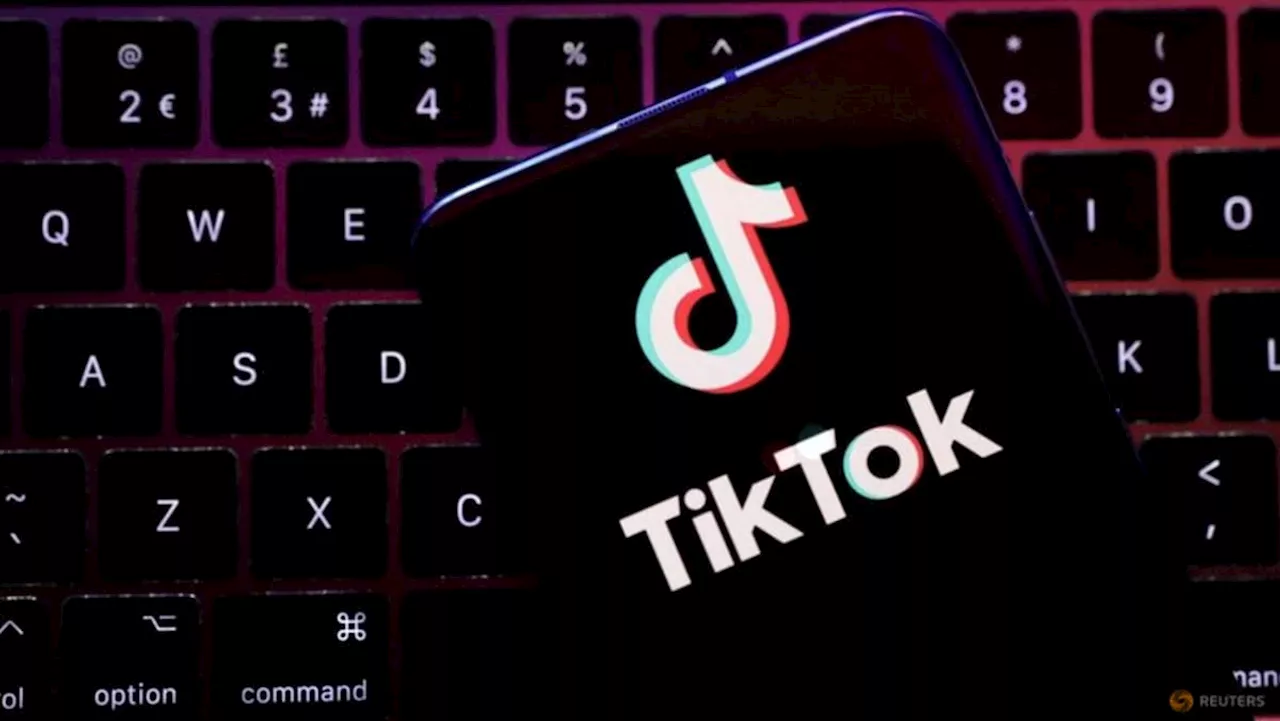 Will a potential US ban drive TikTok deeper into the arms of Southeast Asia?