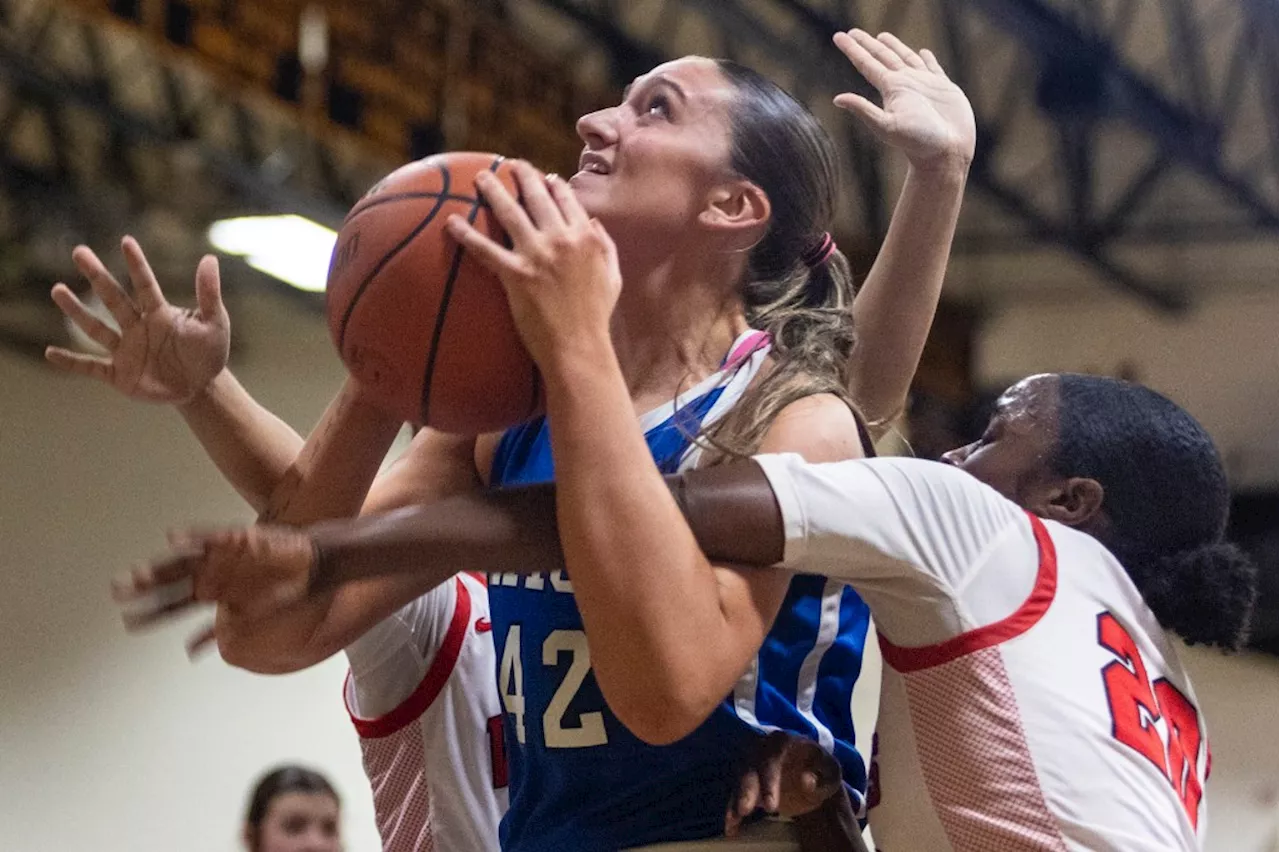 Introducing the 2023-24 Daily Southtown Girls Basketball All-Area Team