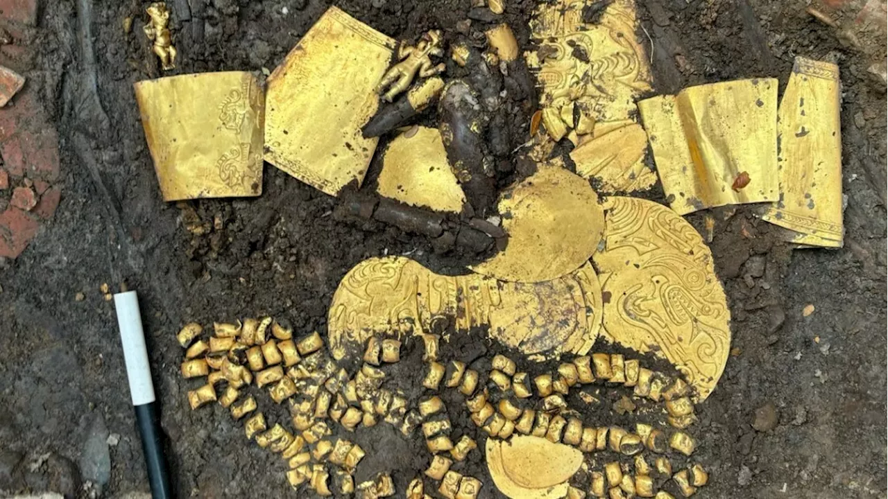 宗教指導者の墓を発掘、金の工芸品や生け贄も見つかる 中米パナマ