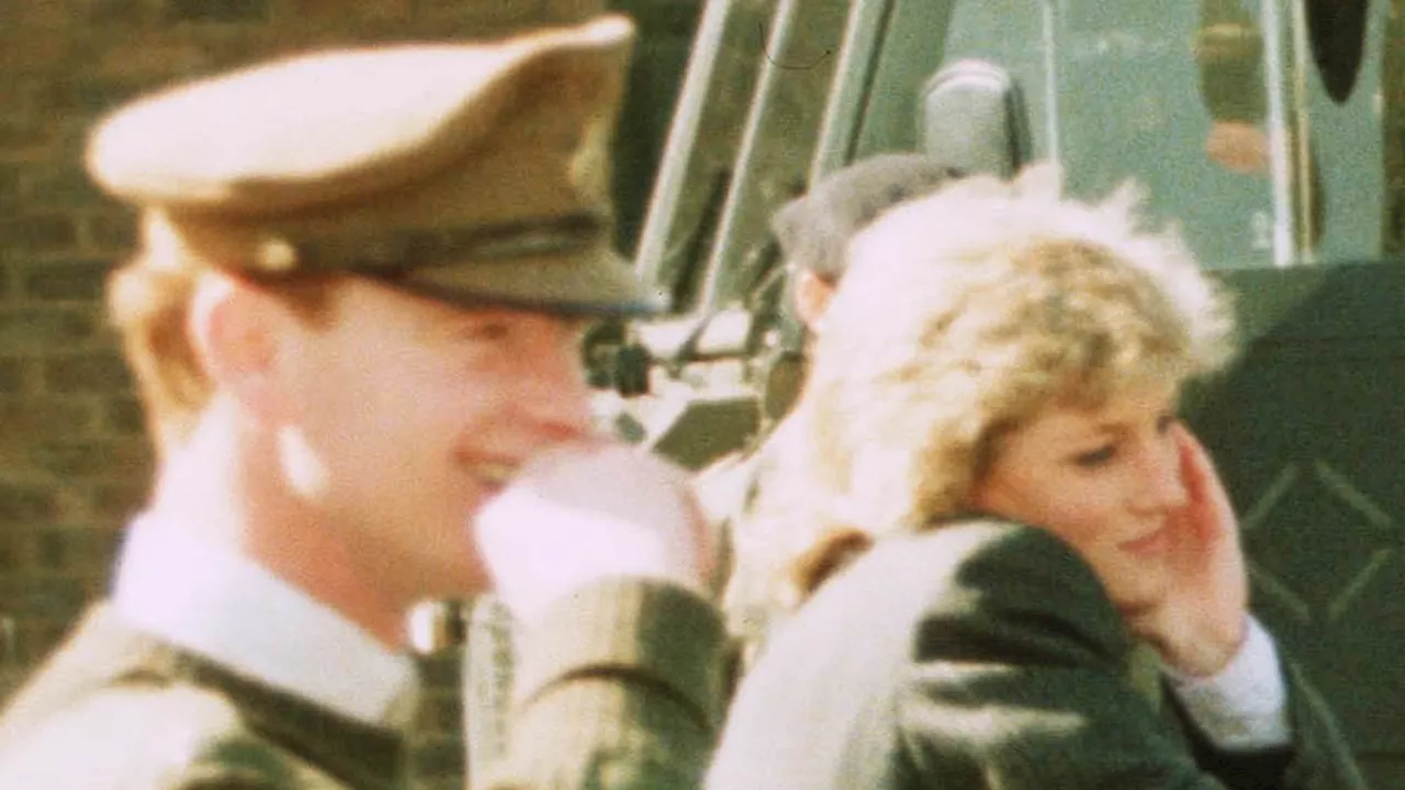 EPHRAIM HARDCASTLE: William and Harry will not welcome revelations from Princess Diana's bodyguard...