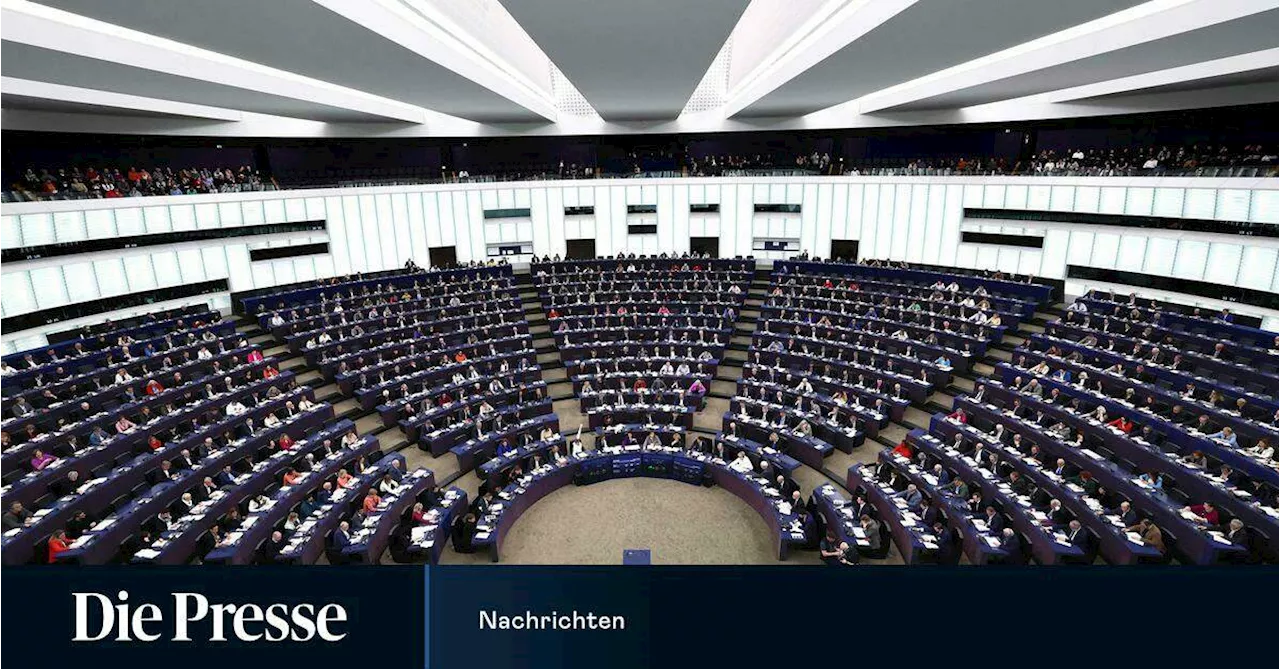 EU-Parlament will Visabestimmungen für ausländische Arbeitskräfte lockern