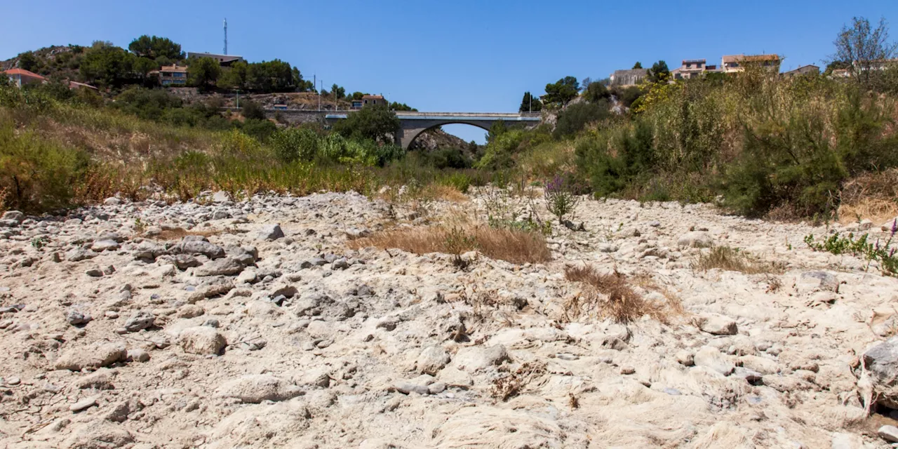 Malgré les pluies, les nappes phréatiques restent stables, mais le Languedoc-Roussillon toujours en tension