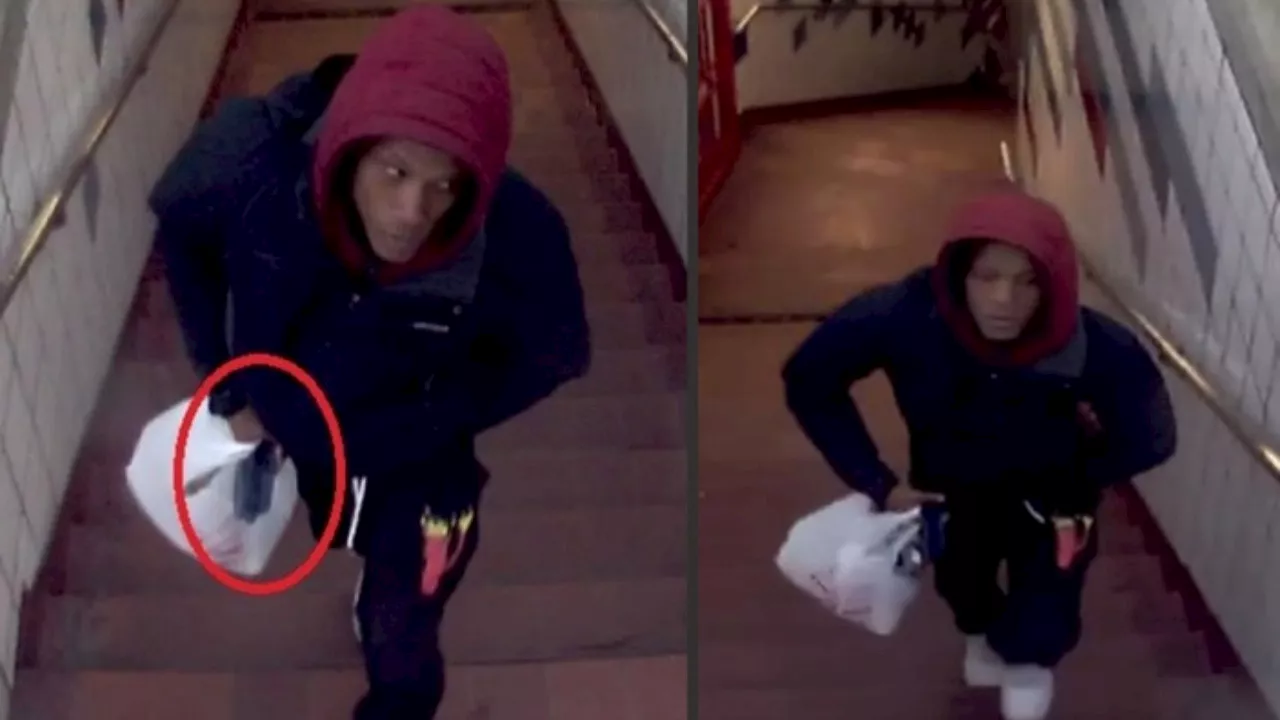 CTA Red Line robbery: Chicago police seek suspect