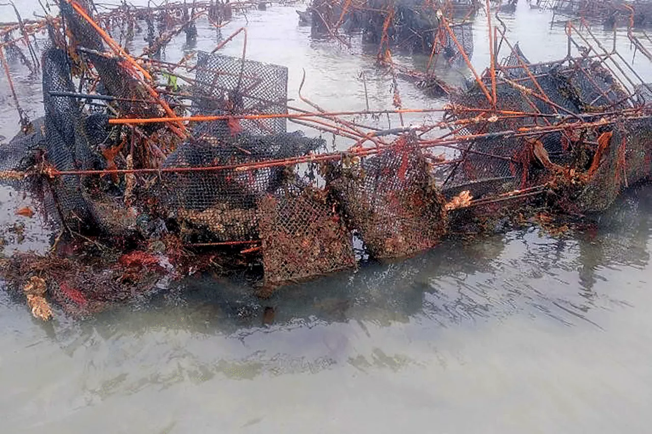 La pêche de certains coquillages interdite sur une partie du littoral des Côtes-d'Armor