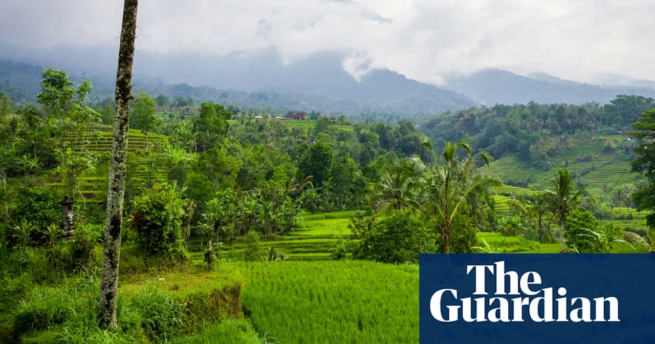 Australian woman among two tourists killed in Bali landslide that swept away villa