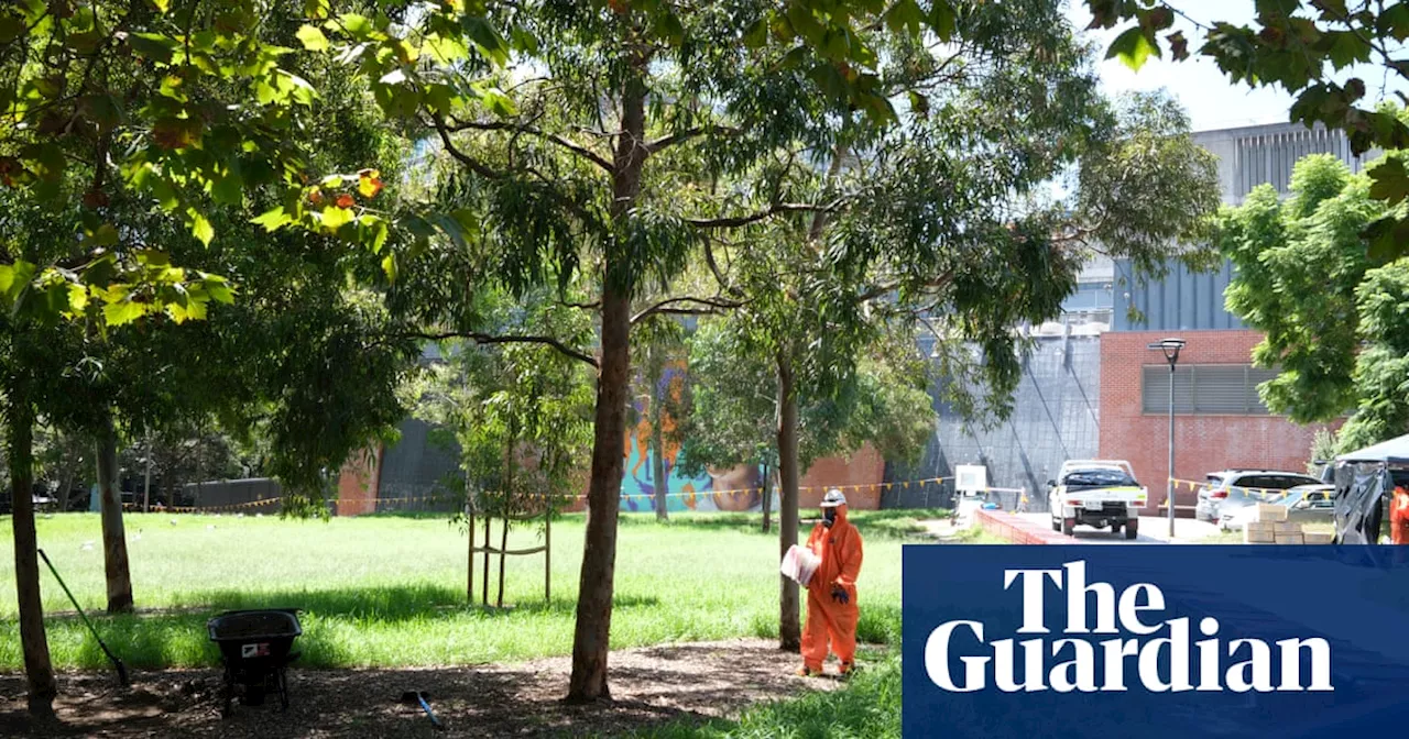 NSW to double penalties for worst environmental crimes in wake of asbestos crisis