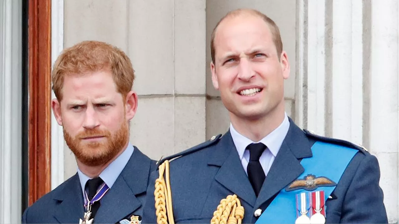 Prince Harry Will Attend Diana Legacy Event Only After Prince William Leaves