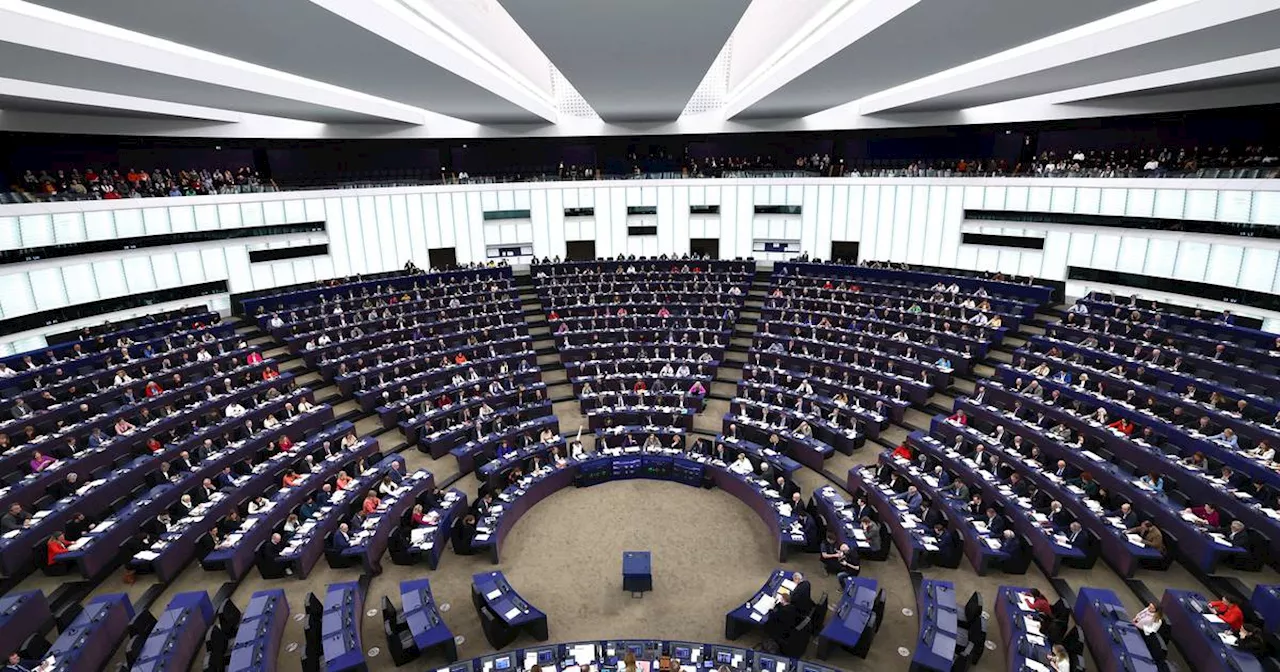 Fianna Fáil European Parliament group to decide nominee for Commission presidency next week