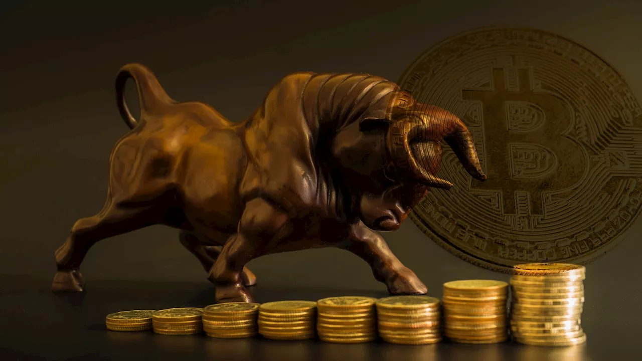 Bitcoin supply crunch and institutional FOMO: Crypto market-maker breaks down the bull run