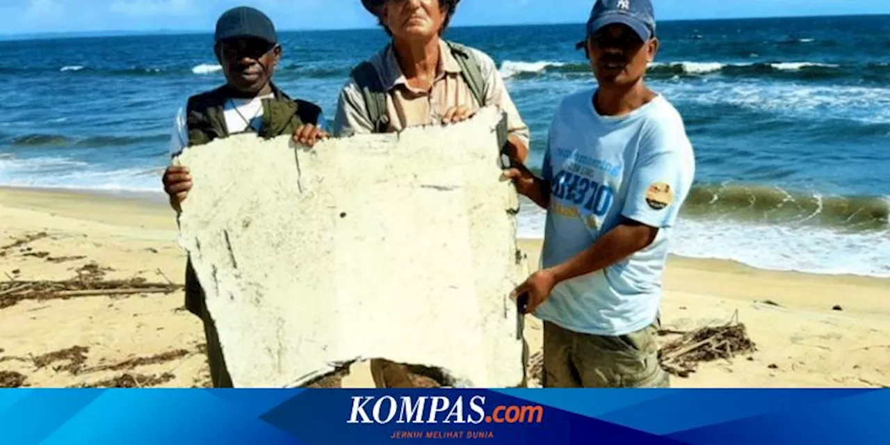 10 Tahun MH370 Menghilang, Ilmuwan Kembangkan Cara Baru Lacak Pesawat Menggunakan Hewan Laut