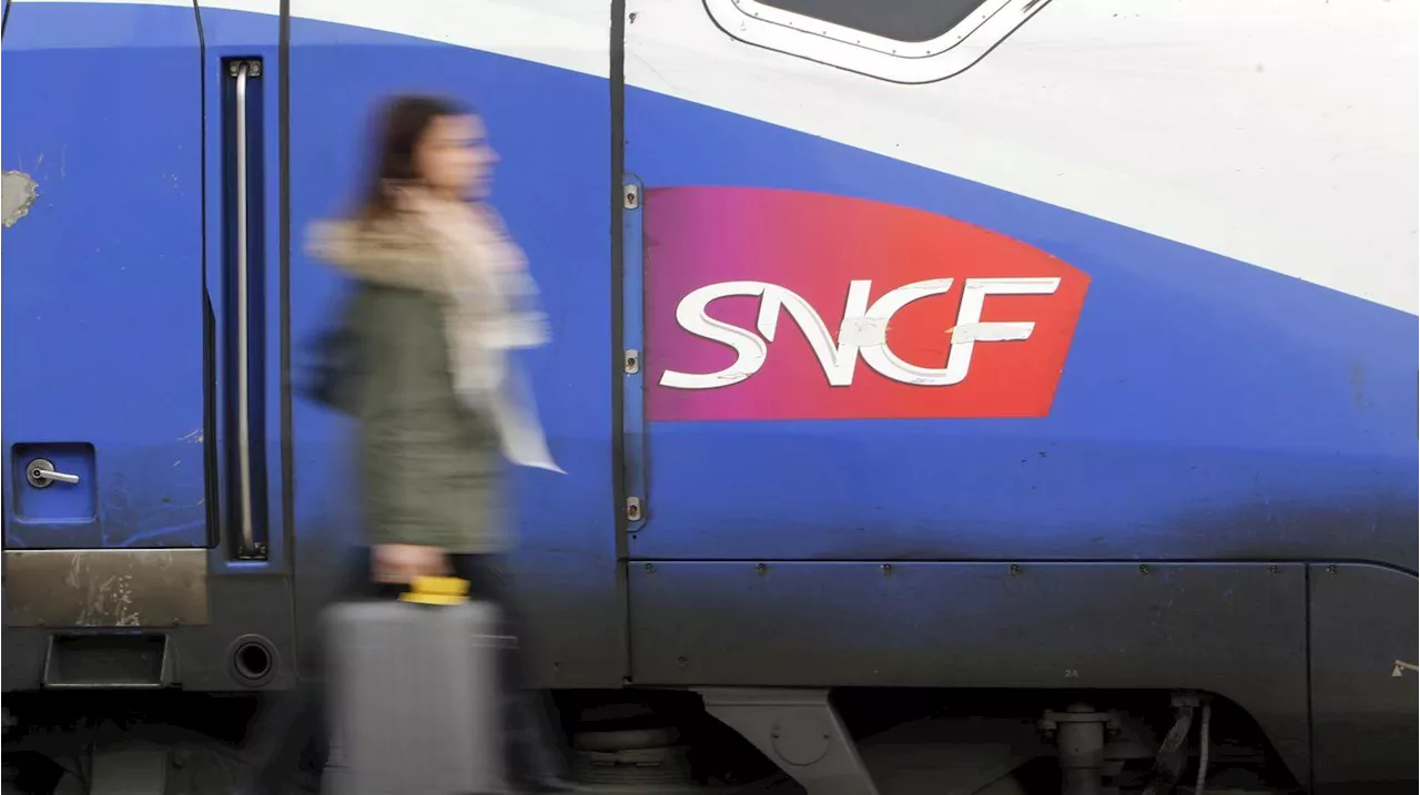 Contrôleurs SNCF : un nouveau préavis de grève déposé par Sud Rail pour le mois de mai