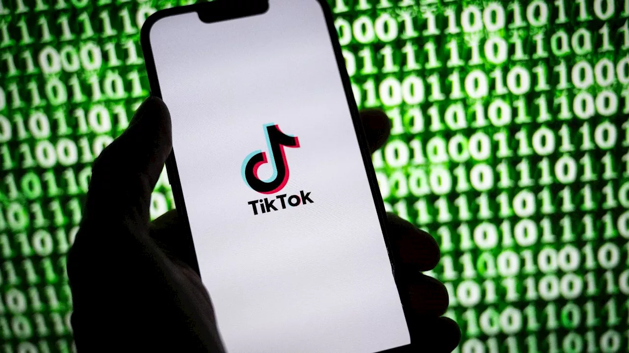 'Faites-vous entendre', lance le PDG de TikTok aux utilisateurs aux Etats-Unis après la menace d'une interdiction