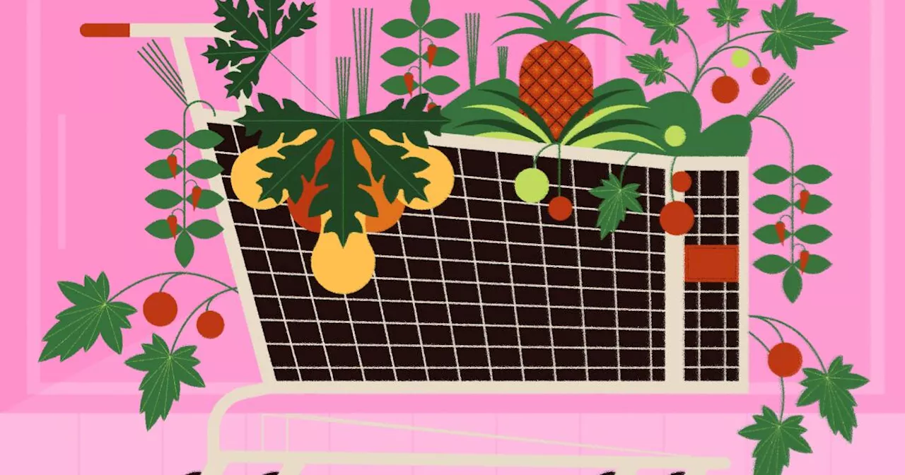 How to turn grocery store staples into plants that will thrive in an L.A. garden