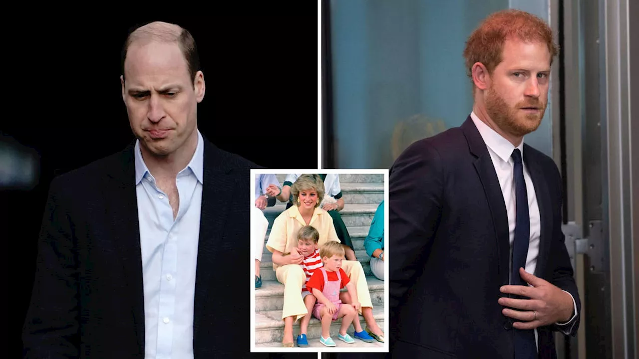 Prince William and Prince Harry to attend Diana Legacy Award ceremony separately