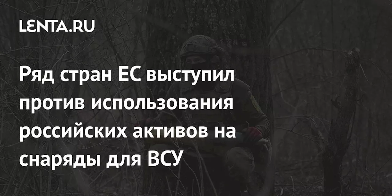 Ряд стран ЕС выступил против использования российских активов на снаряды для ВСУ