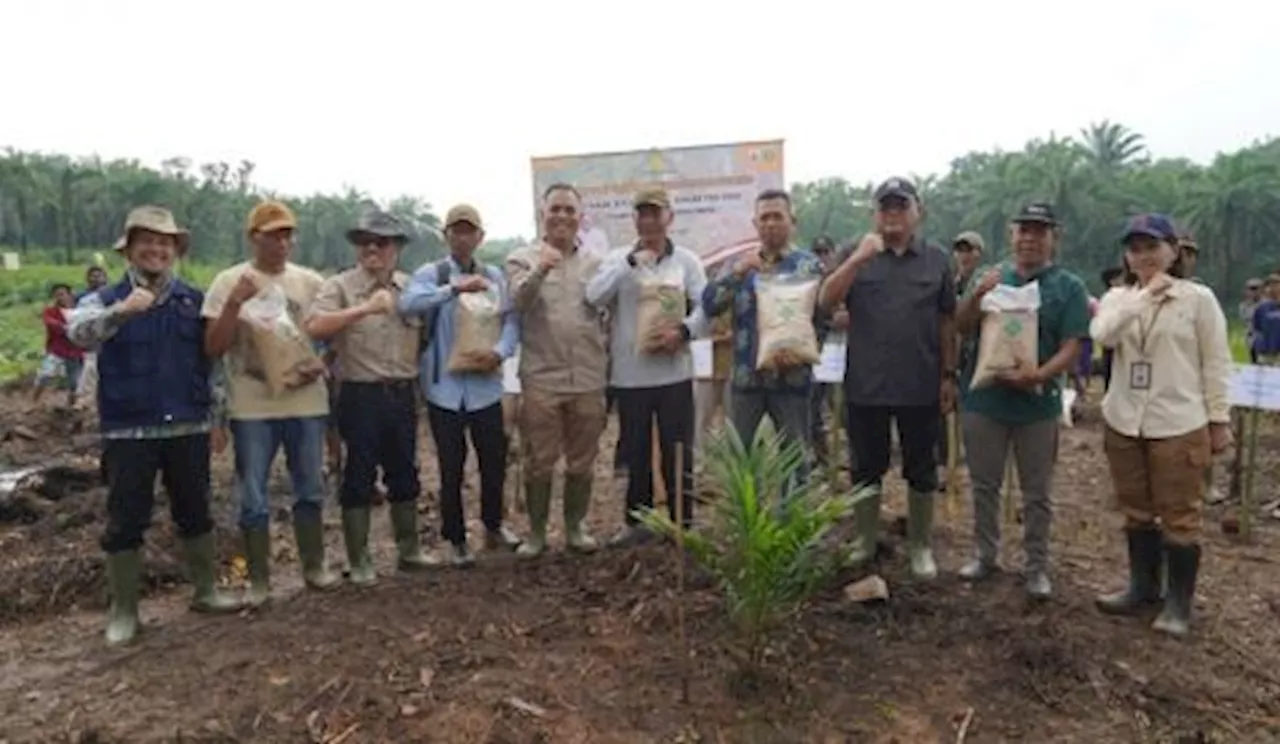 Lewat Kesatria Kementan Yakin Bisa Optimalkan Lahan Perkebunan demi Tambah Produksi Padi