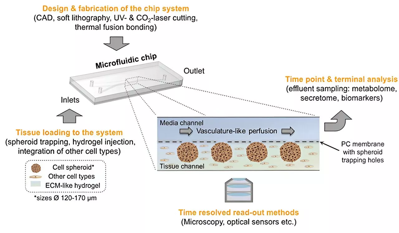 Pancreas-on-chip platform with integrated sensors offers new avenue for diabetes research