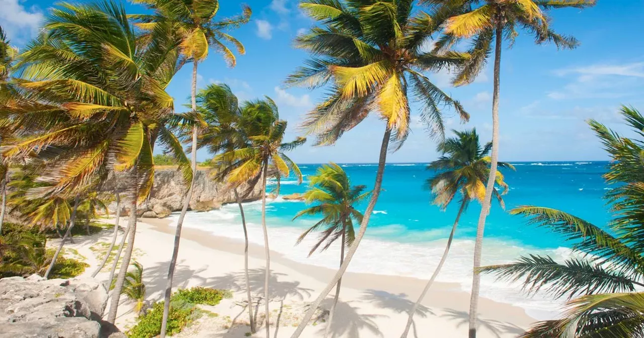 Aer Lingus launches sale from Manchester Airport with £100 off Caribbean flights