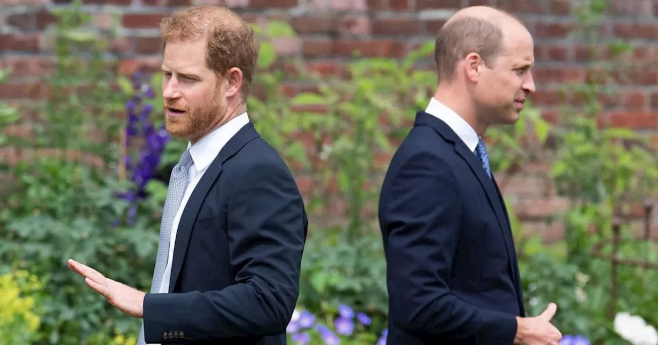 Prince Harry to share message at Princess Diana event after William leaves