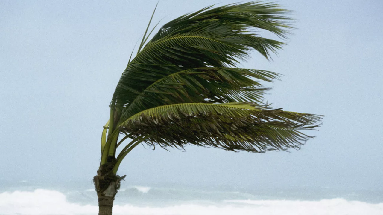 High wind warning in effect Thursday for multiple SoCal counties