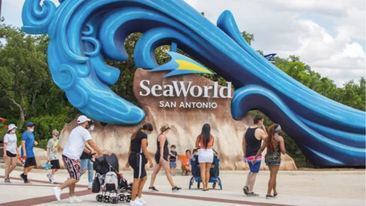 SeaWorld San Antonio marks 60th anniversary with $60 ticket and dining special