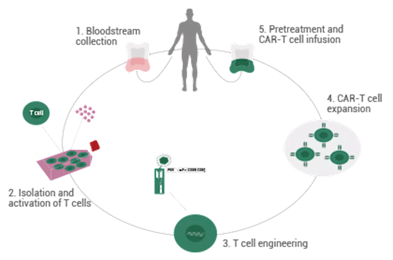 Integrated CAR-T cell therapy development: From discovery to clinical-ready solutions