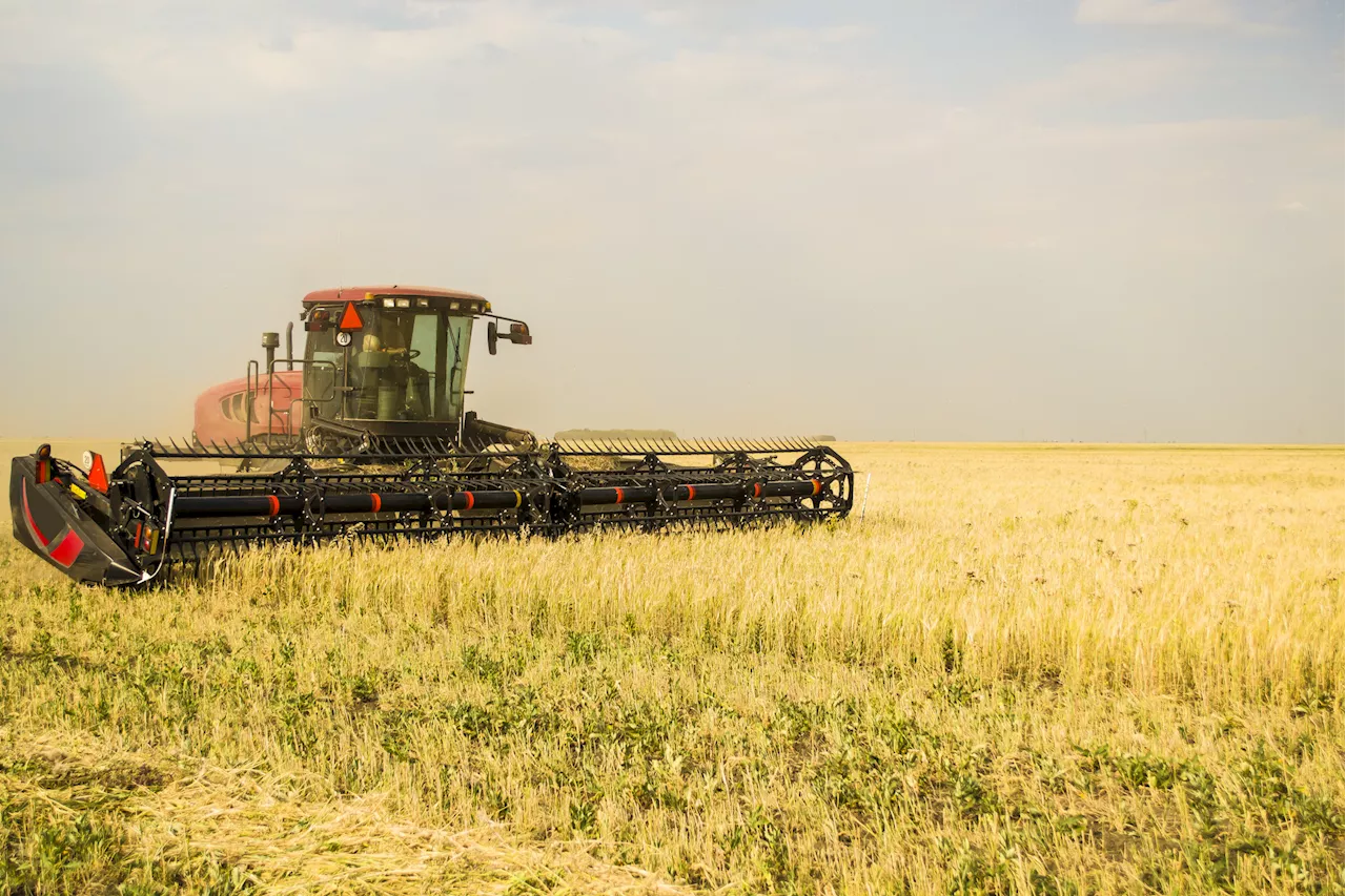 California's Water Needs for San Joaquin Valley Crops Keep Growing